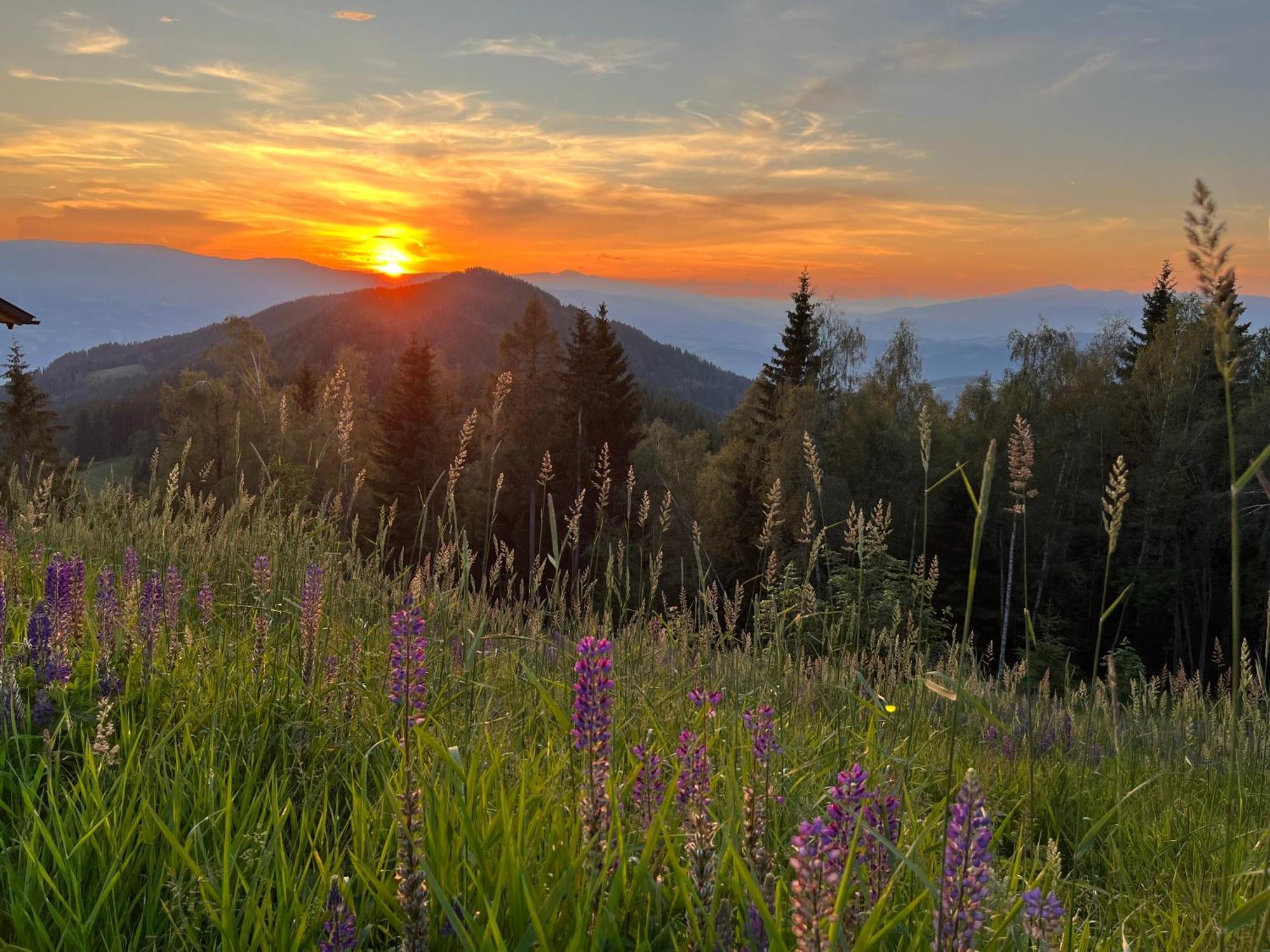 Feriendorf Koralpe Alpenrose Villa Frantschach Dış mekan fotoğraf